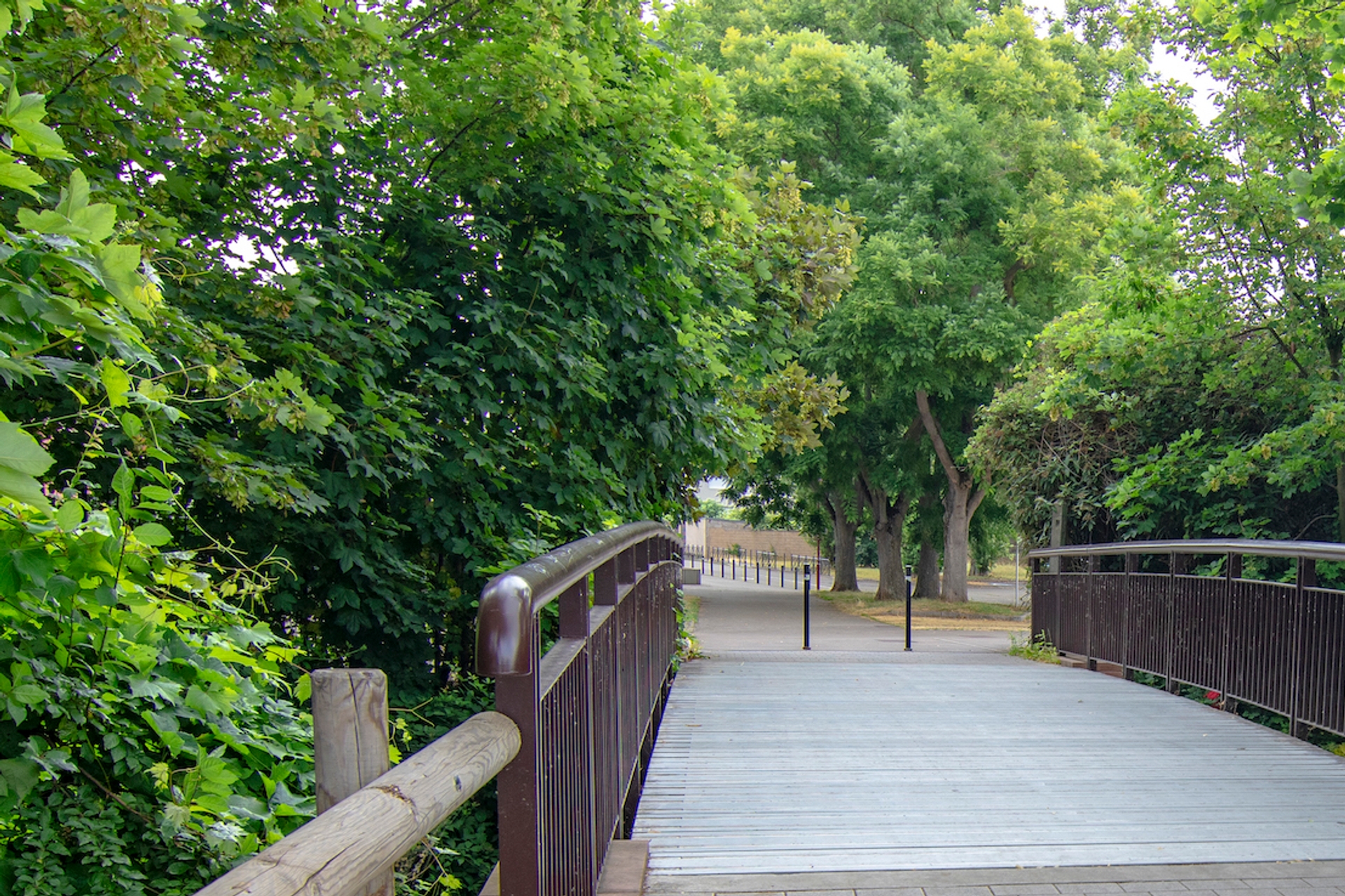 004.Passerelle college Freppel